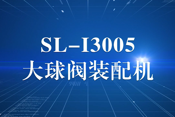 达柏林SL-3005大球阀装配机